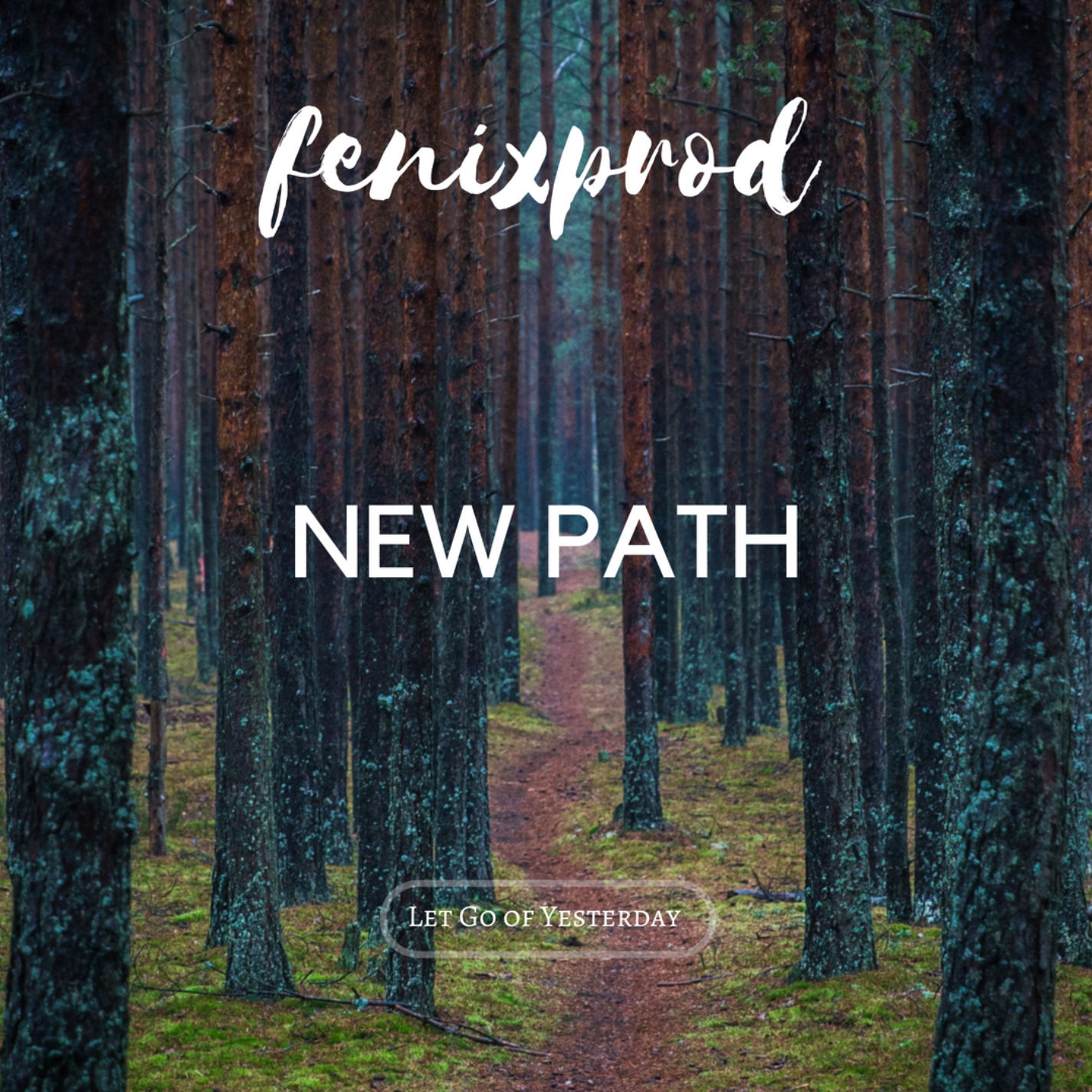 укрепленная дорожка на холме. 13]. New paths. New paths 0. New path.