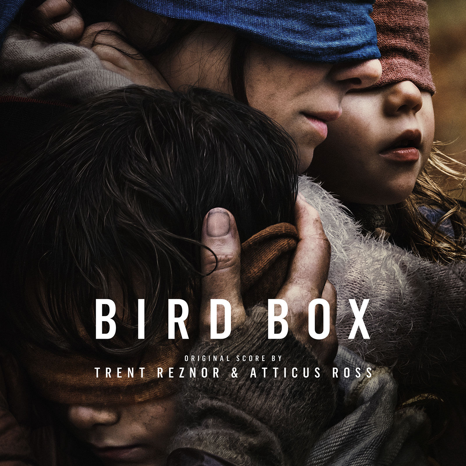 bird box essay