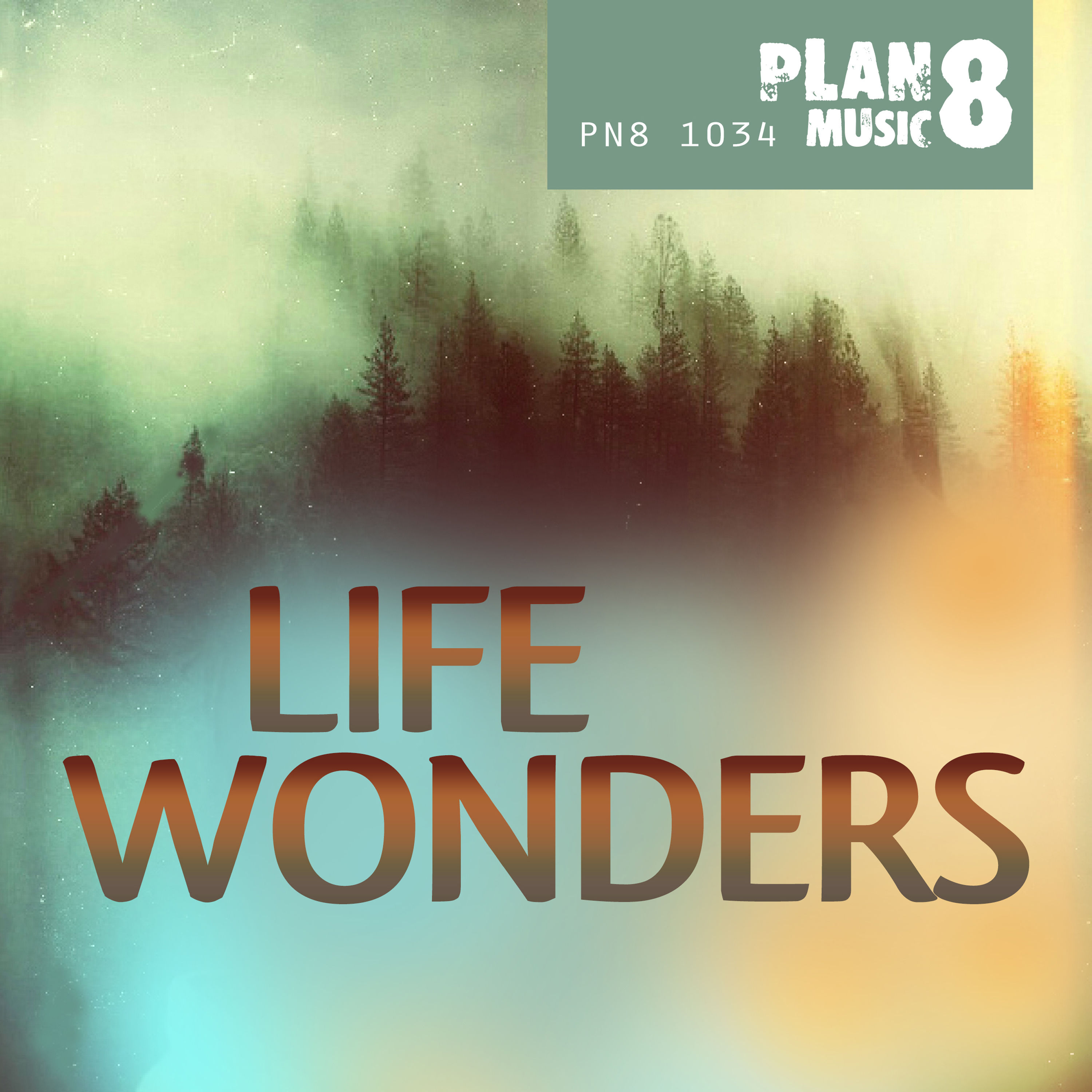 Life is wonder. Wonder Life песня. Wonders of Life. RMB - Wonders of Life. Wonder Life Black песня из рекламы.