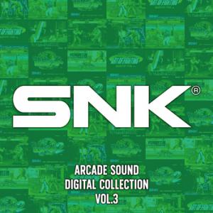 SNK ARCADE SOUND DIGITAL COLLECTION Vol.3. Front (small). Нажмите, чтобы увеличить. SNK ARCADE SOUND DIGITAL COLLECTION Vol.3. Front (small). Нажмите, чтобы увеличить.