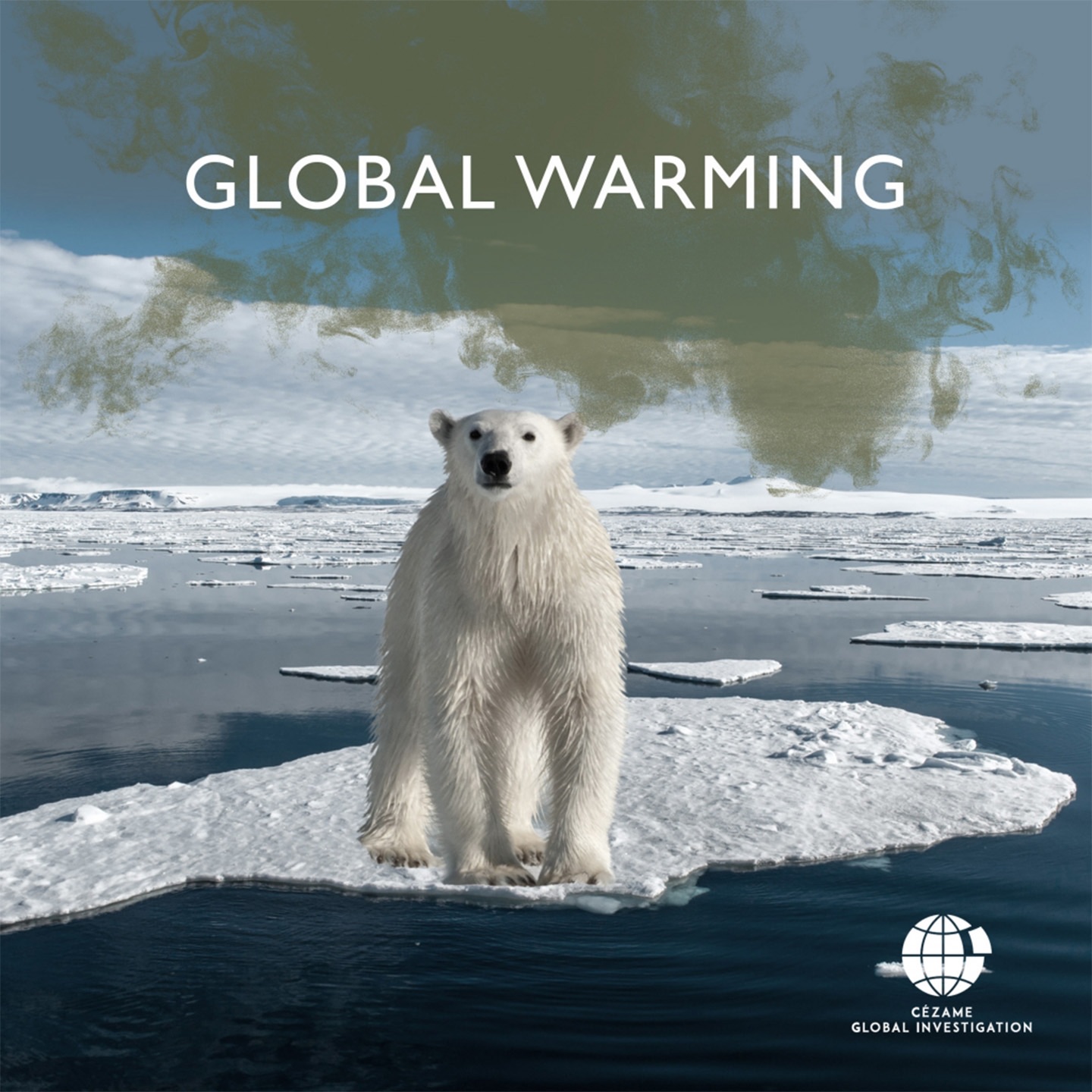 Белый медведь на леднике. Медведь на льдине. Последствия глобального потепления. Climate change Polar Bears.