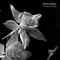 She Waits for Morning - Single. Передняя обложка. Нажмите, чтобы увеличить. She Waits for Morning - Single. Передняя обложка. Нажмите, чтобы увеличить.