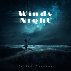 Windy Night - Single. Передняя обложка. Нажмите, чтобы увеличить. Windy Night - Single. Передняя обложка. Нажмите, чтобы увеличить.