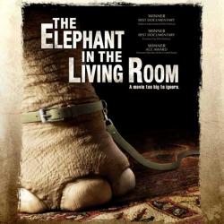 The Elephant in the Living Room Original Motion Picture Soundtrack. Передняя обложка. Нажмите, чтобы увеличить. The Elephant in the Living Room Original Motion Picture Soundtrack. Передняя обложка. Нажмите, чтобы увеличить.