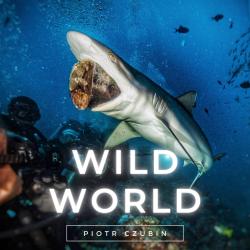 Wild World Original Motion Picture Soundtrack. Передняя обложка. Нажмите, чтобы увеличить. Wild World Original Motion Picture Soundtrack. Передняя обложка. Нажмите, чтобы увеличить.