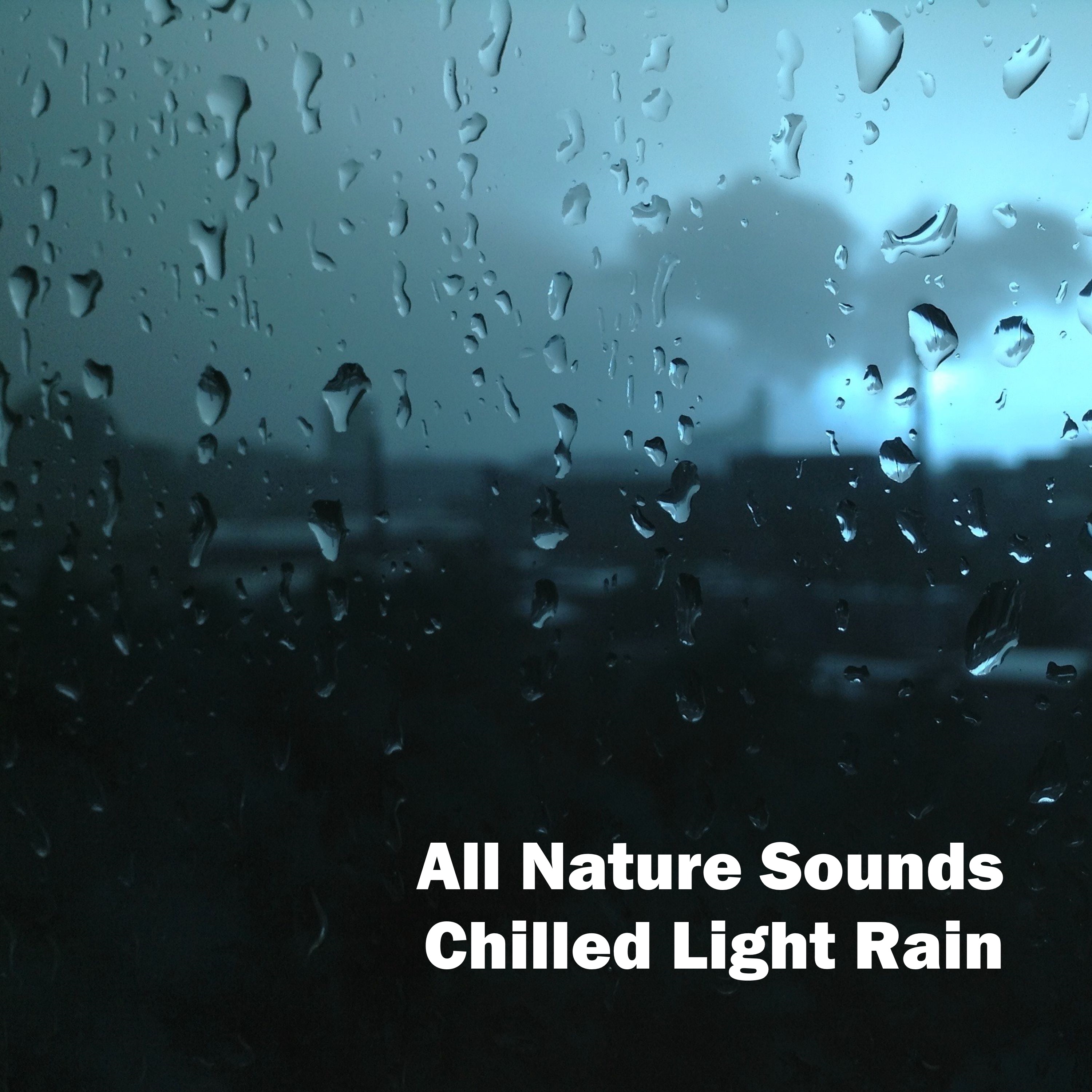 Песни мой свет и дождь. Свет и дождь. Haidian Light Rain. Starkslight Rain.