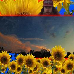 The Sun Goes Back and Forth - EP. Передняя обложка. Нажмите, чтобы увеличить. The Sun Goes Back and Forth - EP. Передняя обложка. Нажмите, чтобы увеличить.