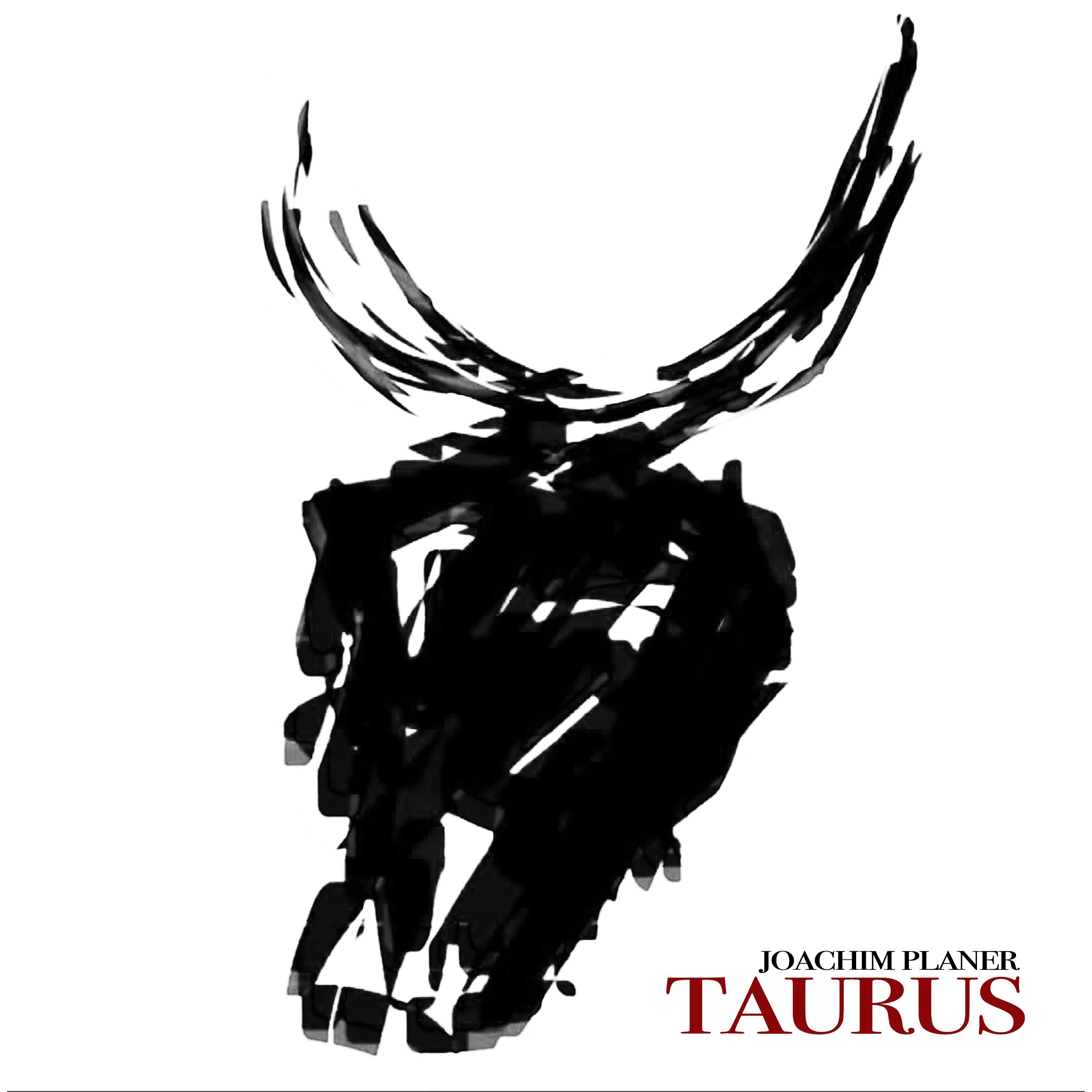 Taurus музыка. Musician taurus. синтезаторы таурус. Musician taurus. Moog taurus 3.