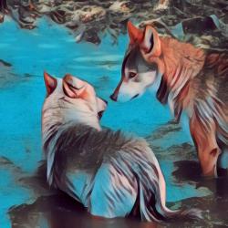 Wolf Pack Original Motion Picture Soundtrack - EP. Передняя обложка. Нажмите, чтобы увеличить. Wolf Pack Original Motion Picture Soundtrack - EP. Передняя обложка. Нажмите, чтобы увеличить.