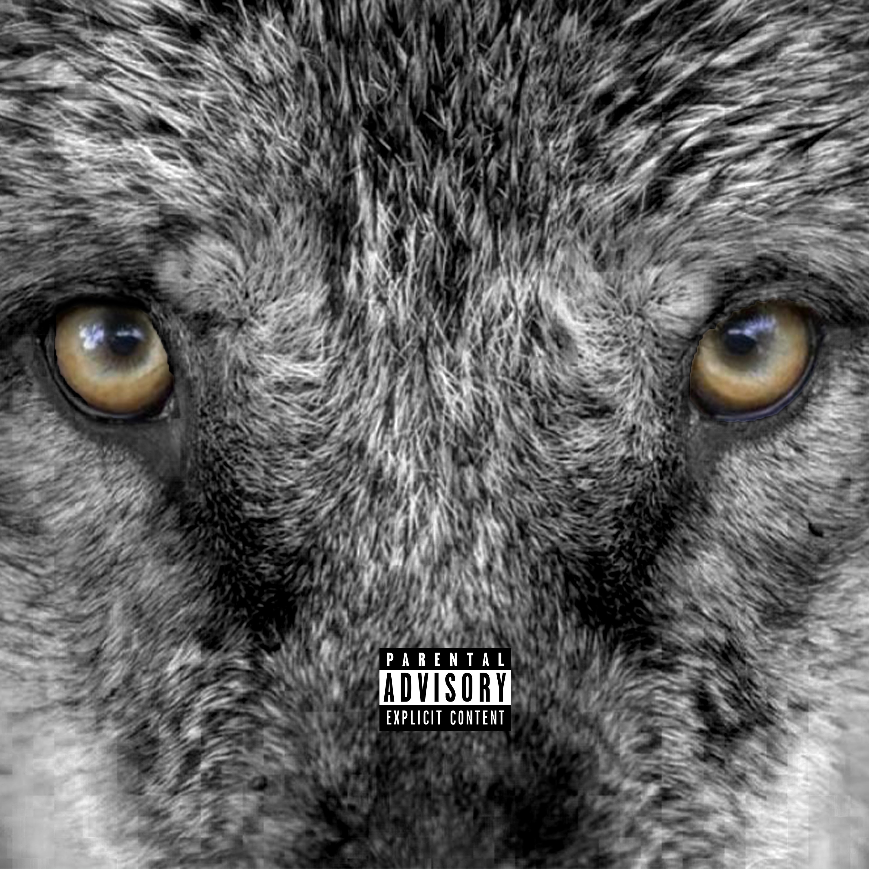 Слушать волк 1. 2 Волка. Степной волк обложка. Вульф обложка альбома. Kokomo if Wolves.