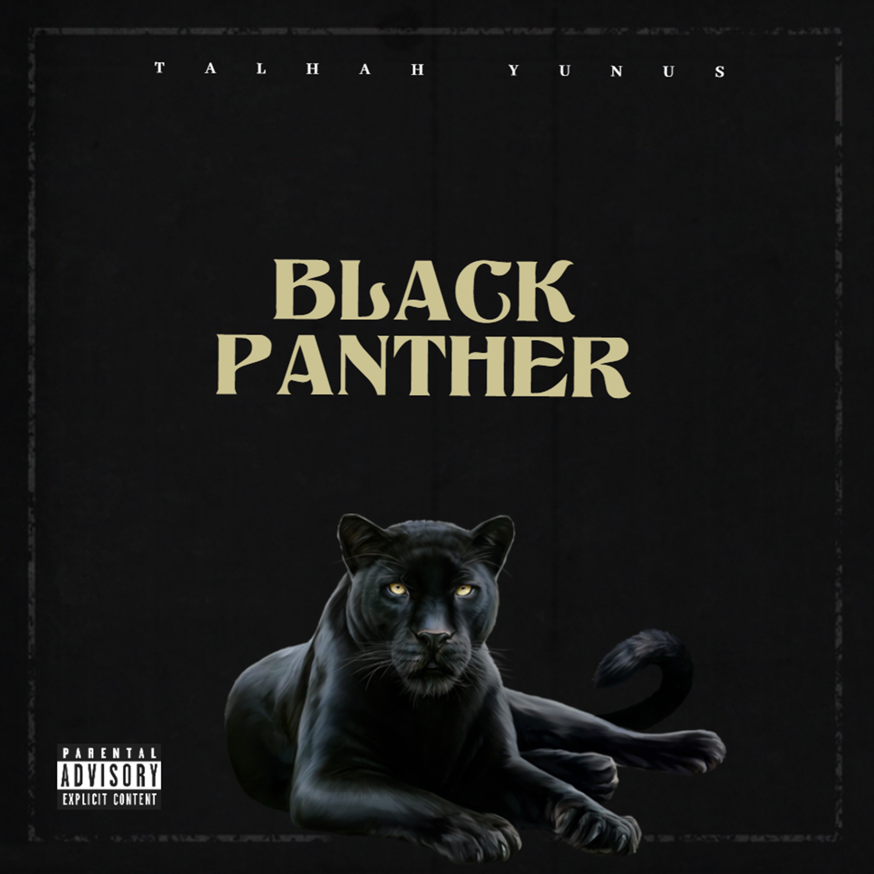 Пантера саундтрек. Черная пантера песня. Пантера музыка слушать. На обложке альбома Панда. Чёрная пантера песня текст.