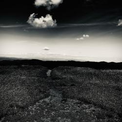 Every Day Gets Closer VIII - Single. Передняя обложка. Нажмите, чтобы увеличить. Every Day Gets Closer VIII - Single. Передняя обложка. Нажмите, чтобы увеличить.