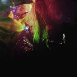 1stNote. Передняя обложка. Нажмите, чтобы увеличить. 1stNote. Передняя обложка. Нажмите, чтобы увеличить.