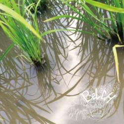 7SONGS DEMO. Передняя обложка. Нажмите, чтобы увеличить. 7SONGS DEMO. Передняя обложка. Нажмите, чтобы увеличить.