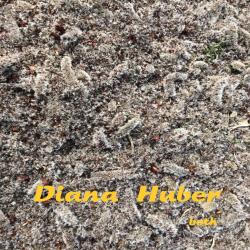 Both - EP. Передняя обложка. Нажмите, чтобы увеличить. Both - EP. Передняя обложка. Нажмите, чтобы увеличить.