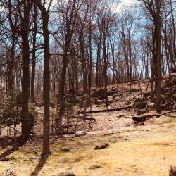 Everybody Relax Covid19 Edit - Single. Передняя обложка. Нажмите, чтобы увеличить. Everybody Relax Covid19 Edit - Single. Передняя обложка. Нажмите, чтобы увеличить.