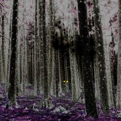 Double Life - Single. Передняя обложка. Нажмите, чтобы увеличить. Double Life - Single. Передняя обложка. Нажмите, чтобы увеличить.