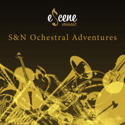 S&N Orchestral Adventures. Передняя обложка. Нажмите, чтобы увеличить. S&N Orchestral Adventures. Передняя обложка. Нажмите, чтобы увеличить.