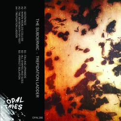 Trepidation Ladder. Передняя обложка. Нажмите, чтобы увеличить. Trepidation Ladder. Передняя обложка. Нажмите, чтобы увеличить.