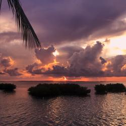 Sunset in the Keys - Single. Передняя обложка. Нажмите, чтобы увеличить. Sunset in the Keys - Single. Передняя обложка. Нажмите, чтобы увеличить.