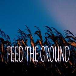 Feed the Ground Original Motion Picture Soundtrack. Передняя обложка. Нажмите, чтобы увеличить. Feed the Ground Original Motion Picture Soundtrack. Передняя обложка. Нажмите, чтобы увеличить.