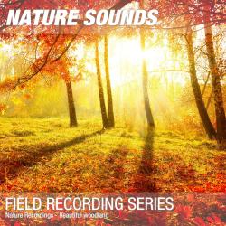 Nature Recordings - Beautiful woodland. Передняя обложка. Нажмите, чтобы увеличить. Nature Recordings - Beautiful woodland. Передняя обложка. Нажмите, чтобы увеличить.