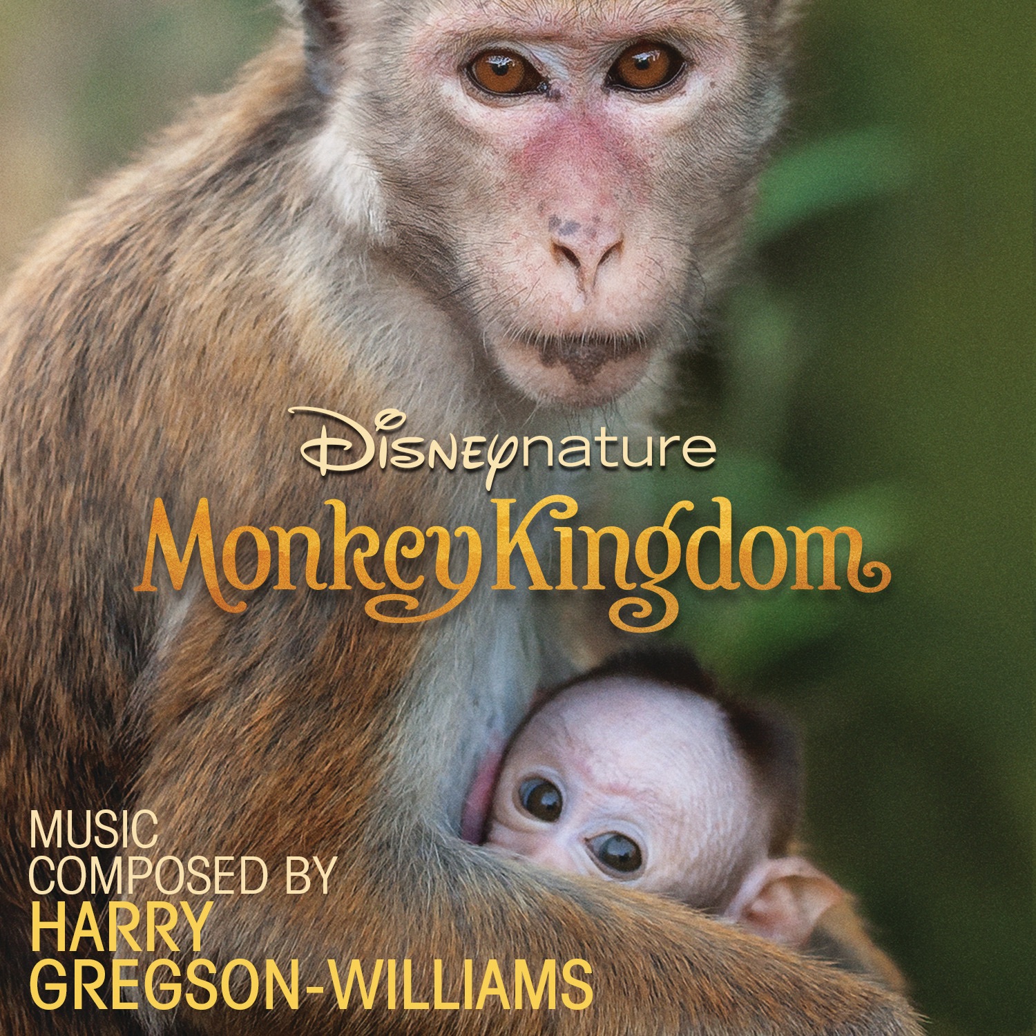 Monkey песня слушать. Королевство обезьян 1999. Царство обезьян.