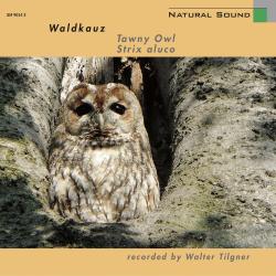 Natural Sound: Waldkauz. Передняя обложка. Нажмите, чтобы увеличить. Natural Sound: Waldkauz. Передняя обложка. Нажмите, чтобы увеличить.