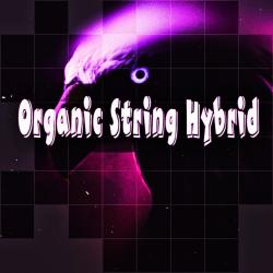Organic String Hybrid - Single. Передняя обложка. Нажмите, чтобы увеличить. Organic String Hybrid - Single. Передняя обложка. Нажмите, чтобы увеличить.