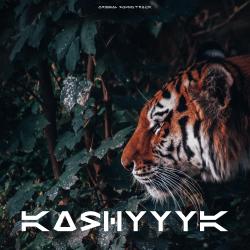 Kashyyyk Original Gaming Soundtrack - Single. Передняя обложка. Нажмите, чтобы увеличить.