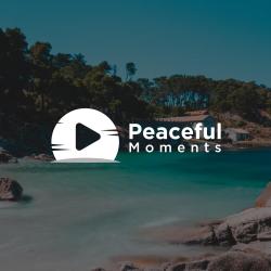 Rising Grace - Single. Передняя обложка. Нажмите, чтобы увеличить. Rising Grace - Single. Передняя обложка. Нажмите, чтобы увеличить.