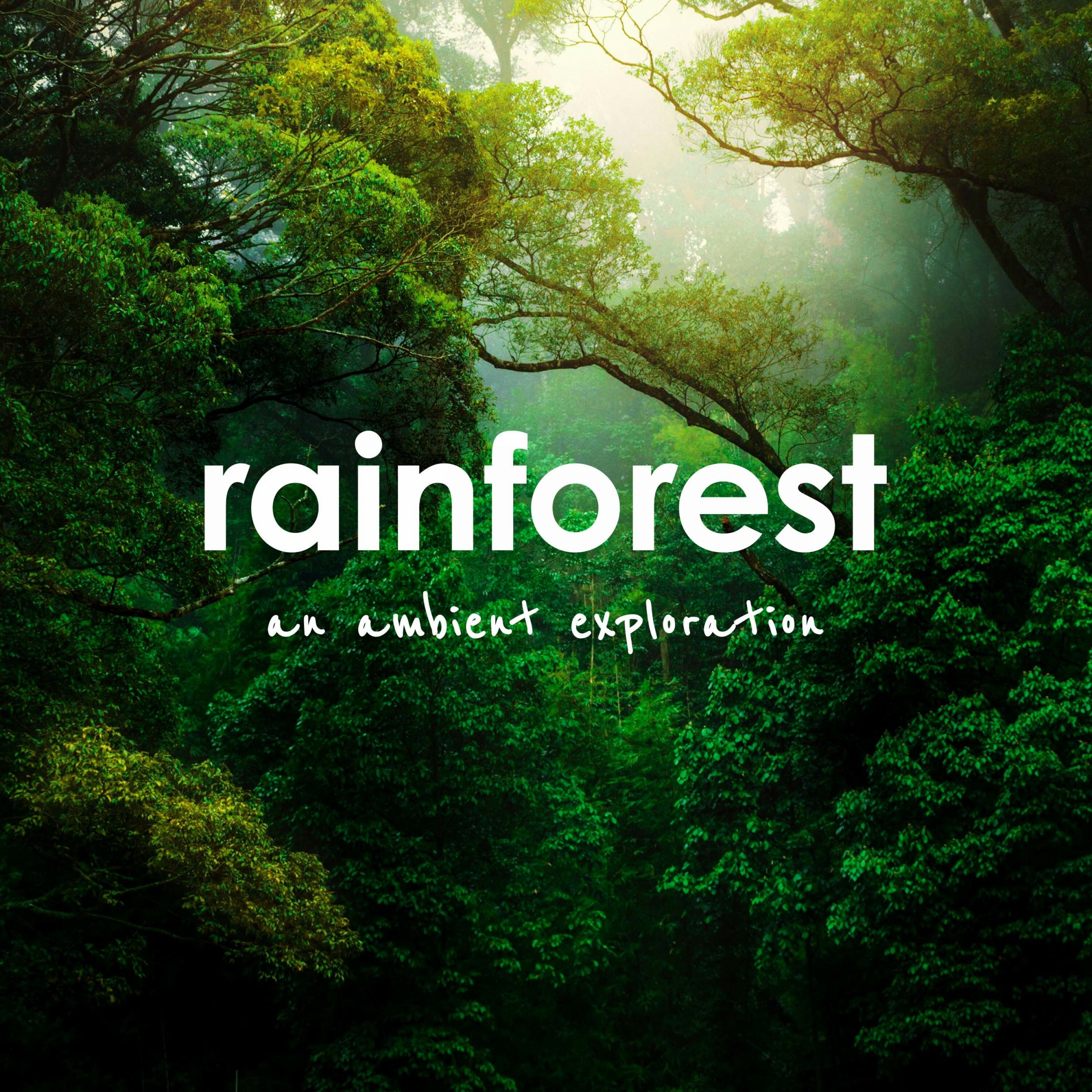Ambient Plusquam фото. Sleeping Forest. Big Forest 50 110 2015.