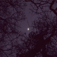 Audio Photographs Music for Film and Animation. Передняя обложка. Нажмите, чтобы увеличить. Audio Photographs Music for Film and Animation. Передняя обложка. Нажмите, чтобы увеличить.