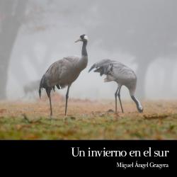 Un Invierno en el Sur Original Motion Picture Soundtrack - Single. Передняя обложка. Нажмите, чтобы увеличить. Un Invierno en el Sur Original Motion Picture Soundtrack - Single. Передняя обложка. Нажмите, чтобы увеличить.