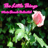 Little Things Music Inspired By the Film, The. Передняя обложка. Нажмите, чтобы увеличить. Little Things Music Inspired By the Film, The. Передняя обложка. Нажмите, чтобы увеличить.