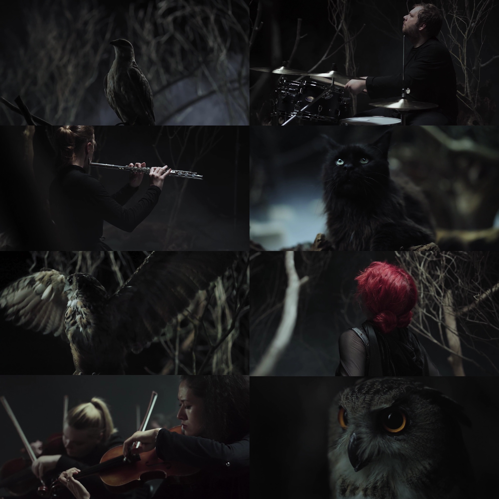 The witcher 3 hunt or be hunted фото 2