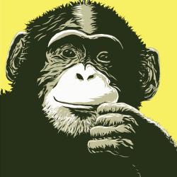 Shout to the Top - Single. Передняя обложка. Нажмите, чтобы увеличить. Shout to the Top - Single. Передняя обложка. Нажмите, чтобы увеличить.