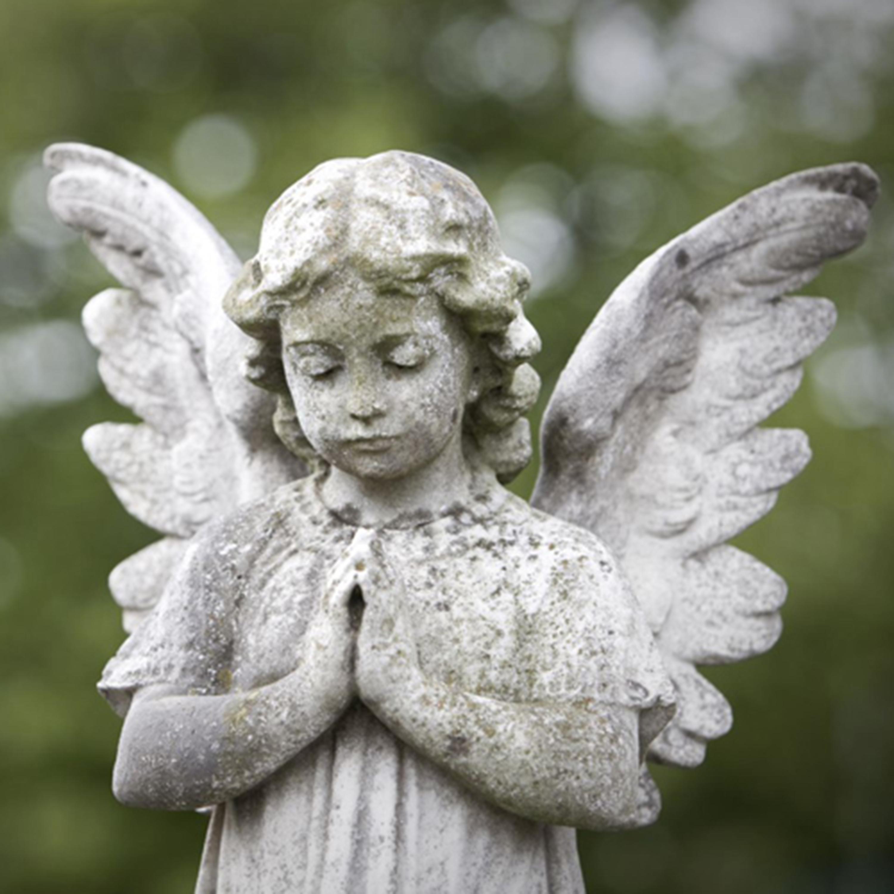 ангелой это. хи-вешер. нефилимы мтг. девушка - ангел. дева-ангел.