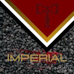 This Is the Empire - Single. Передняя обложка. Нажмите, чтобы увеличить. This Is the Empire - Single. Передняя обложка. Нажмите, чтобы увеличить.