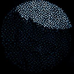 Episodes Saison 1. Передняя обложка. Нажмите, чтобы увеличить. Episodes Saison 1. Передняя обложка. Нажмите, чтобы увеличить.