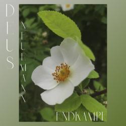 Endkampf - Single. Передняя обложка. Нажмите, чтобы увеличить. Endkampf - Single. Передняя обложка. Нажмите, чтобы увеличить.