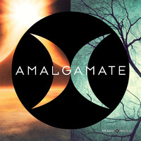 Amalgamate. Передняя обложка. Нажмите, чтобы увеличить. Amalgamate. Передняя обложка. Нажмите, чтобы увеличить.