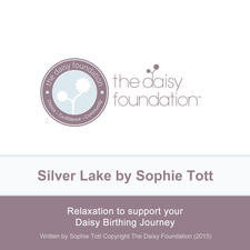 Silver Lake. Передняя обложка. Нажмите, чтобы увеличить. Silver Lake. Передняя обложка. Нажмите, чтобы увеличить.