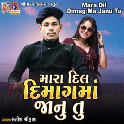 Mara Dil Dimag Ma Janu Tu. Передняя обложка. Нажмите, чтобы увеличить. Mara Dil Dimag Ma Janu Tu. Передняя обложка. Нажмите, чтобы увеличить.