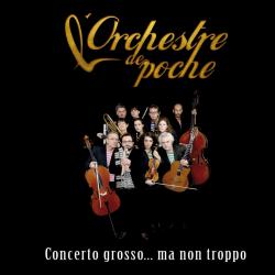 Concerto grosso...ma non troppo. Передняя обложка. Нажмите, чтобы увеличить. Concerto grosso...ma non troppo. Передняя обложка. Нажмите, чтобы увеличить.