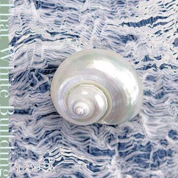 That White Building / CHILLGOGOG. Front. Нажмите, чтобы увеличить. That White Building / CHILLGOGOG. Front. Нажмите, чтобы увеличить.