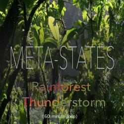 Rainforest Thunderstorm 60 Minute Loop. Передняя обложка. Нажмите, чтобы увеличить. Rainforest Thunderstorm 60 Minute Loop. Передняя обложка. Нажмите, чтобы увеличить.